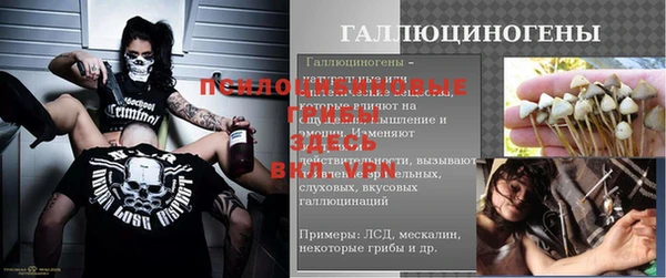 дмт Баксан