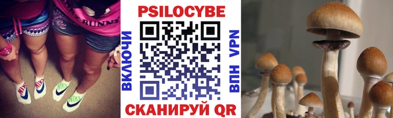 кракен онион  Вятские Поляны  Псилоцибиновые грибы прущие грибы 