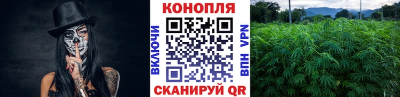 Конопля конопля  сколько стоит  Вятские Поляны 